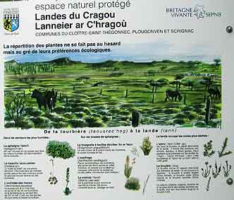 Rserve biologique du Cragou, Monts d'Arre, Finistre : protection de landes et tourbires par la SEPNB-Bretagne Vivante